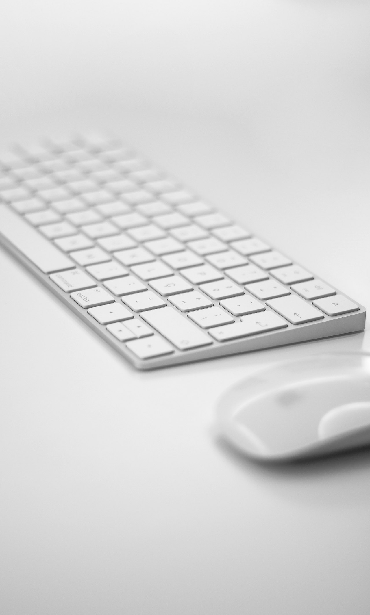 lonely keyboard and mouse